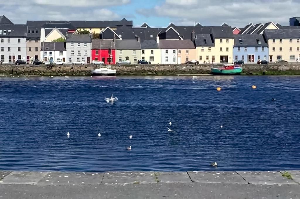 Dominick Street Apartments Galway Buitenkant foto